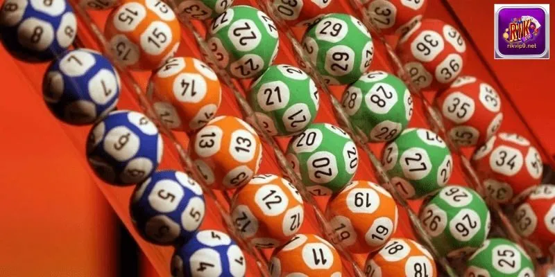 Áp dụng mô hình quả trám soi cầu miền trung được đánh giá có tỷ lệ thắng cao